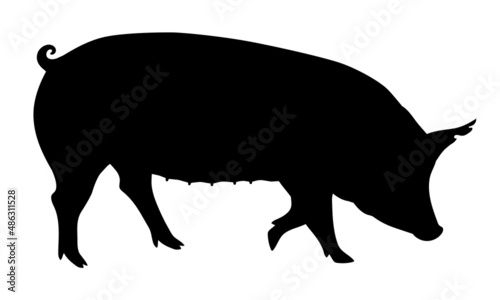 Pig Silhouette - Farm Animal. Vector Icon  illustration.