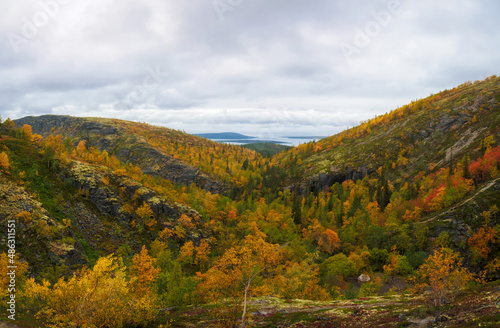 Path on the forest slope of the mountain in autumn in Khibiny, Kola Peninsula, Russia