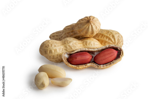 set of peanuts in nutshell, unpeeled and peeled peanuts isolated on white background with shadow.