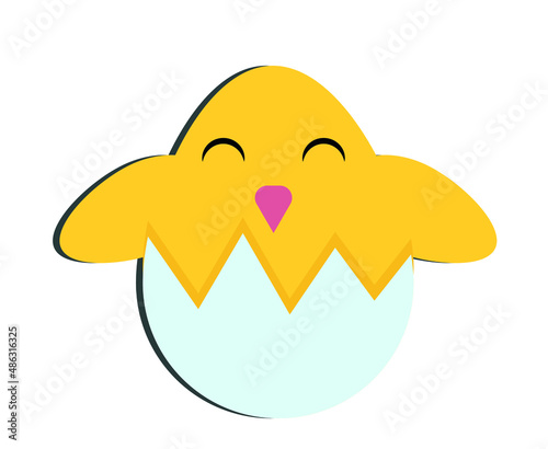 Little yellow chicken in an egg
