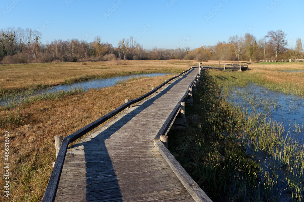 Wooden footpath on wet meadow in the Episy Sensitive Natural Space. French Gatinais Regional Nature Park