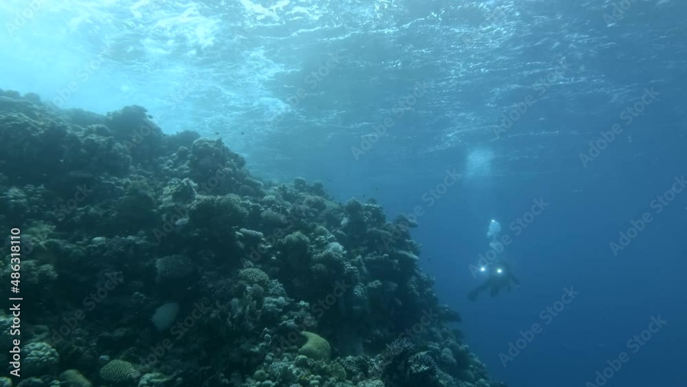 Scubadiver with camera swimming and shots on coral reef Scubadiver with camera swimming and shots on coral reef