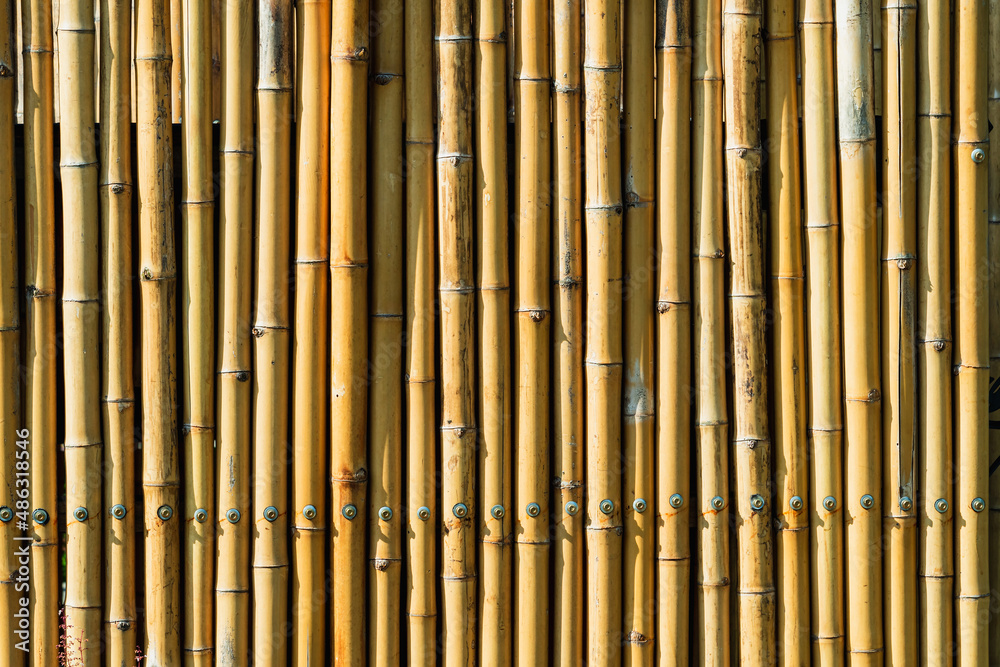 Old brown tone bamboo simple wall or Bamboo fence texture background for interior or exterior design vintage tone. Brown bamboo stick pattern backdrop. Local area urban house protection from thief. Old brown tone bamboo simple wall or Bamboo fence texture background for interior or exterior design vintage tone. Brown bamboo stick pattern backdrop. Local area urban house protection from thief.