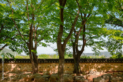 Green forest and traditional wall at Bunhwangsa temple in Gyeongju, Korea photo