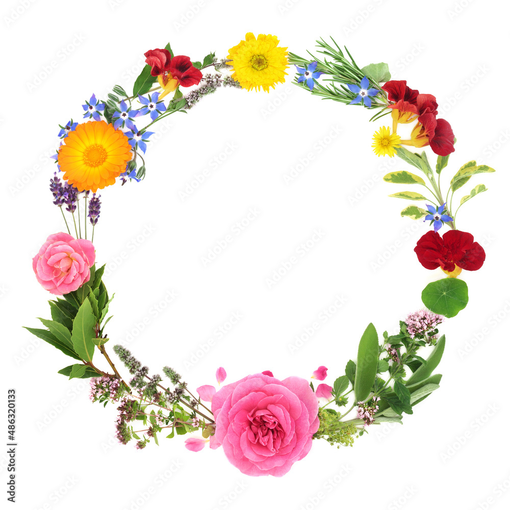 Floral wreath with organic healing flowers and herbs. Used in herbal plant medicine, natural health care concept. Edible flowers and herbs used in food seasoning and decoration. On white. Floral wreath with organic healing flowers and herbs. Used in herbal plant medicine, natural health care concept. Edible flowers and herbs used in food seasoning and decoration. On white.