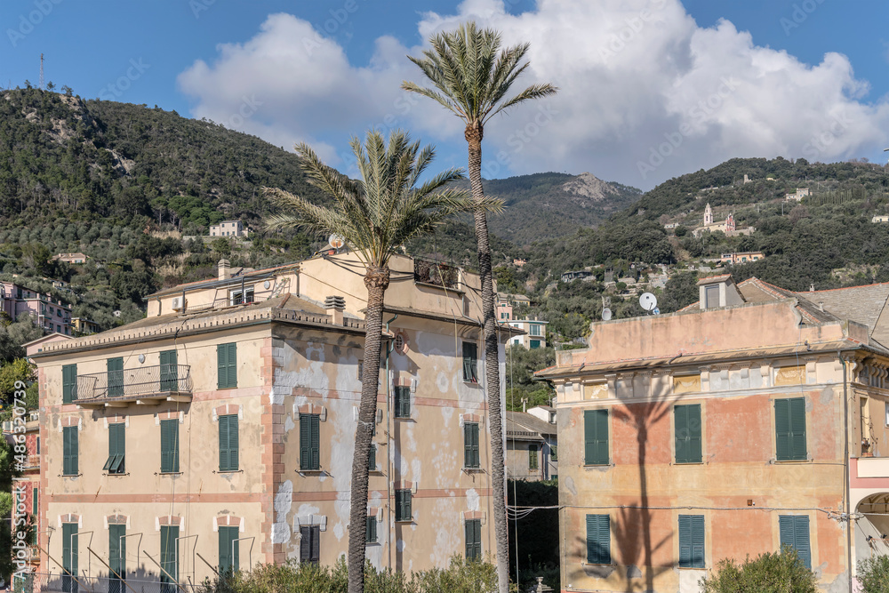 picturesque old houses and palm trees at historical village, Bonassola, Italy