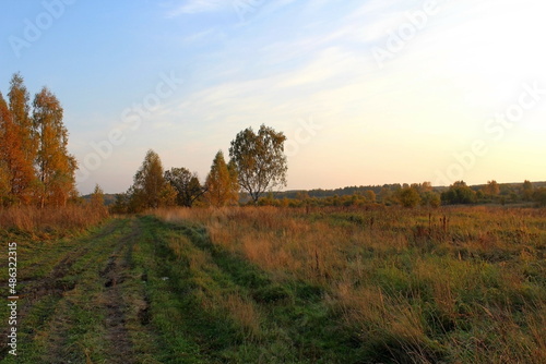 Beautiful nature in autumn, sunset in the field. Unique depiction of the environment.