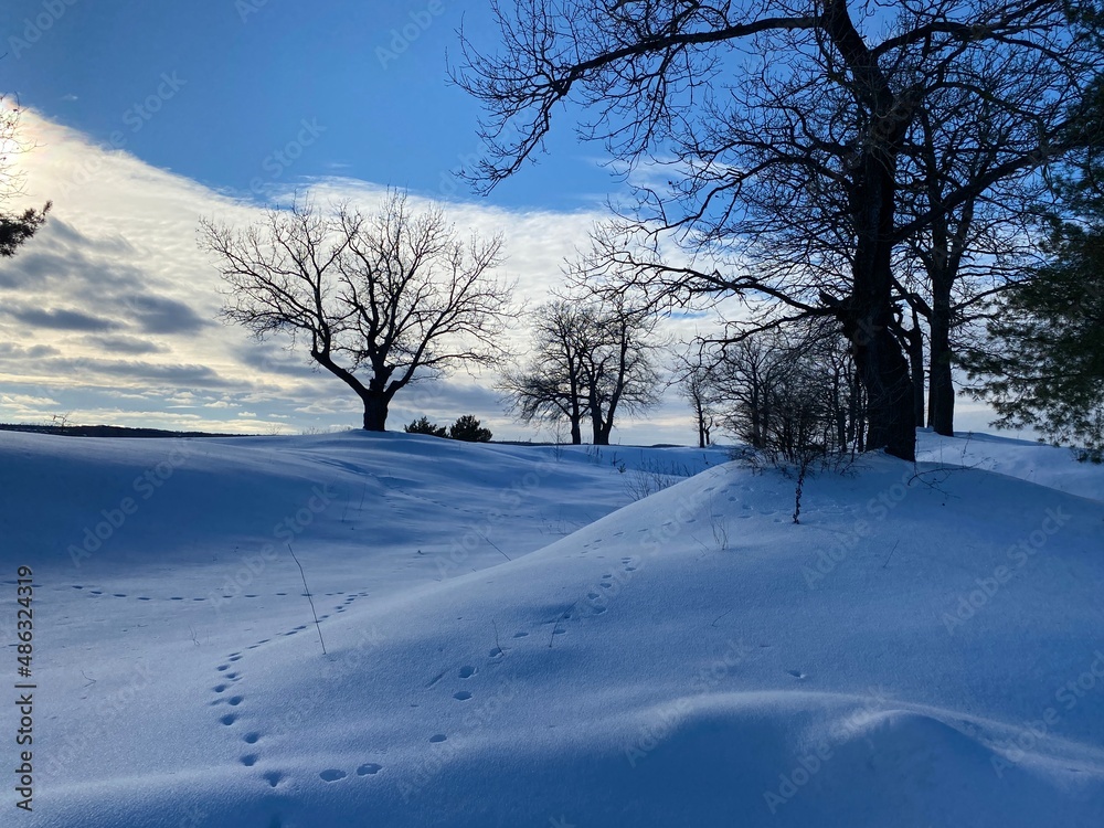 Winter landscape. Snow field. Edge of the forest. Winter landscape. Snow field. Edge of the forest.