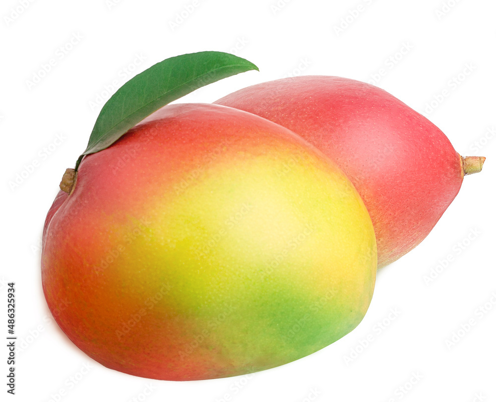 Mango fruits isolated on a white background Mango fruits isolated on a white background