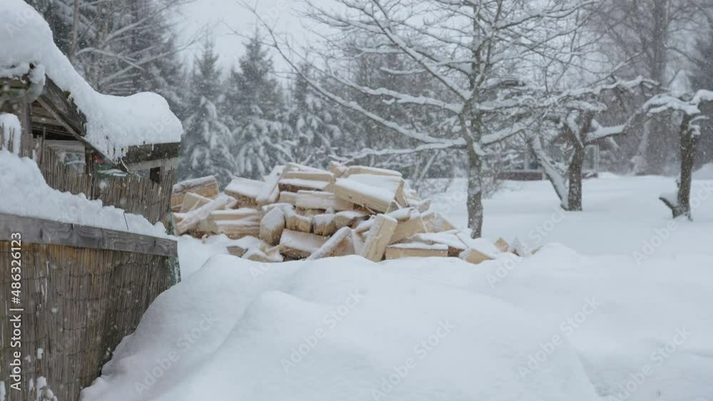custom made wallpaper toronto digitalA heavy snowfall during the winter season in the forest in Estonia