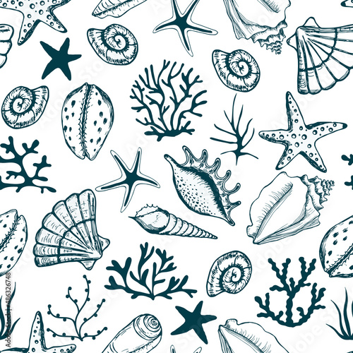 Wallpaper Mural Hand drawn sea shells, seaweed and stars seamless collection. For fabric, wallpaper, wrapping paper, textile, bedding, t-shirt print.. Torontodigital.ca