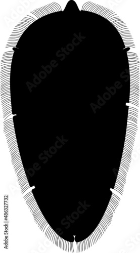 Black silhouette of Miracidium of Sheep liver fluke (Fasciola hepatica) isolated on white background