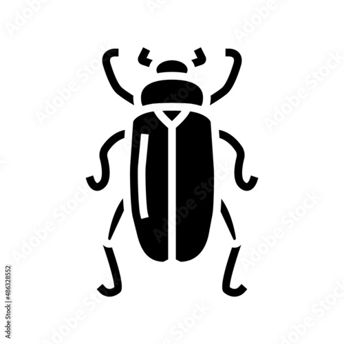 chafer insect glyph icon vector. chafer insect sign. isolated contour symbol black illustration