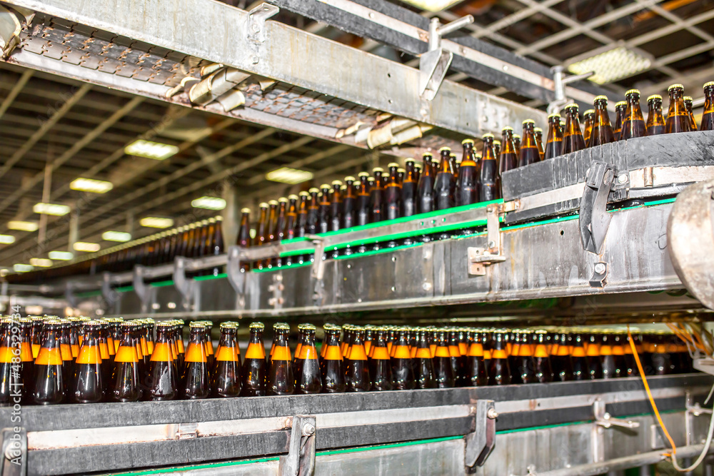 Brewery factory spilling beer into glass bottles on conveyor lines. Industrial work, automated production of food and drinks. Glass products. Bottles for drinks. Technological work at the factory.