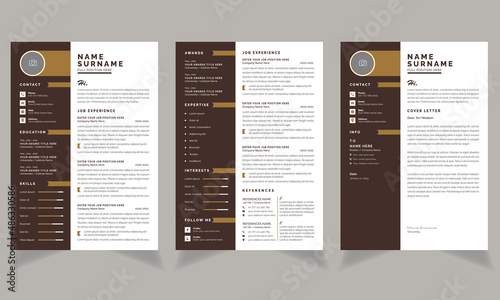Professional Resume Template and Cover Letter Page Set infographic Accents