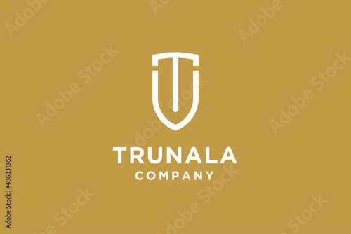 Initial letter T and V logo design vector illustration.