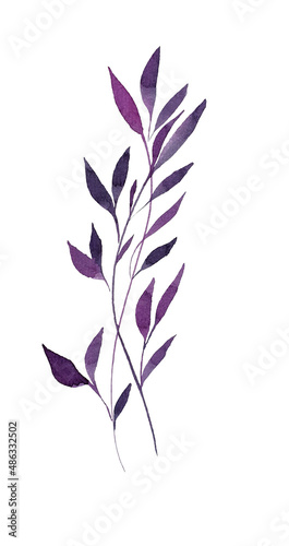 Leaf branch  random leaves  watercolor  watercolor leaves  violet