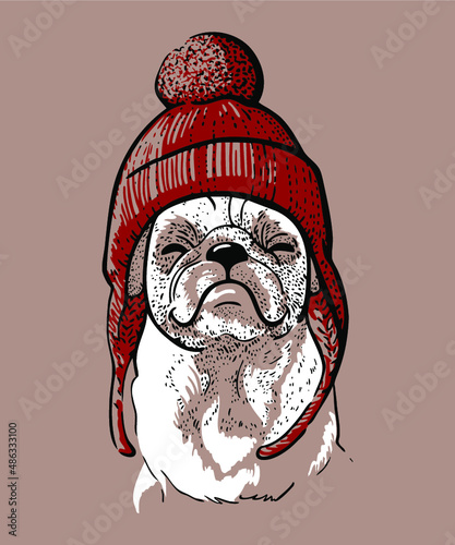 Portrait of a cute smiling Pug dog in a knitted hipster hat with Pom pom. Vector line art illustration.Print for postcard, poster, t-shirt, sticker