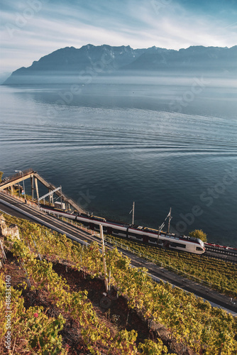 SBB Train along Lac Léman | Rivaz, Vaud, Switzerlande