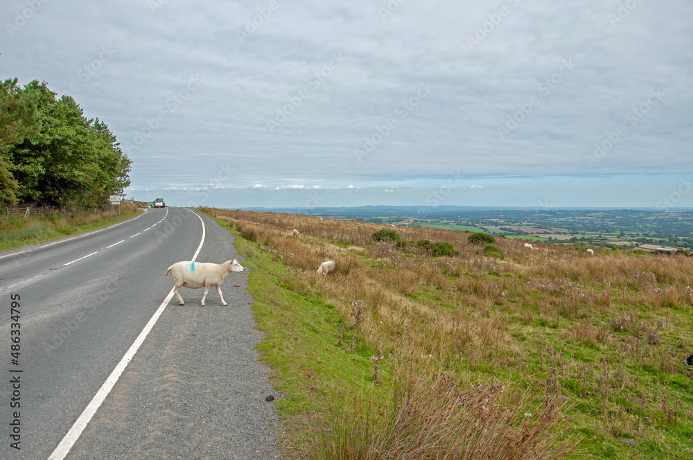 Clee hills in the springtime.