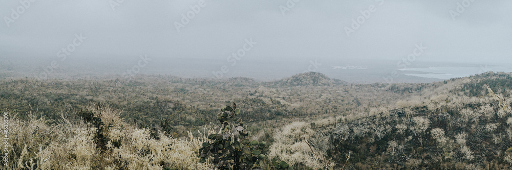 Scenic view of the lush landscape and diverse flora on Isla Isabela, Galapagos, Ecuador. Scenic view of the lush landscape and diverse flora on Isla Isabela, Galapagos, Ecuador.