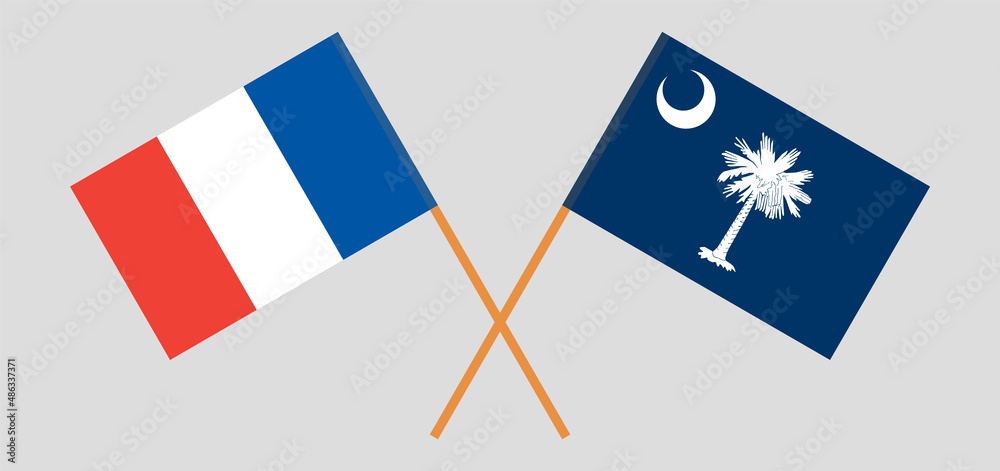 Crossed flags of France and The State of South Carolina. Official colors. Correct proportion Crossed flags of France and The State of South Carolina. Official colors. Correct proportion
