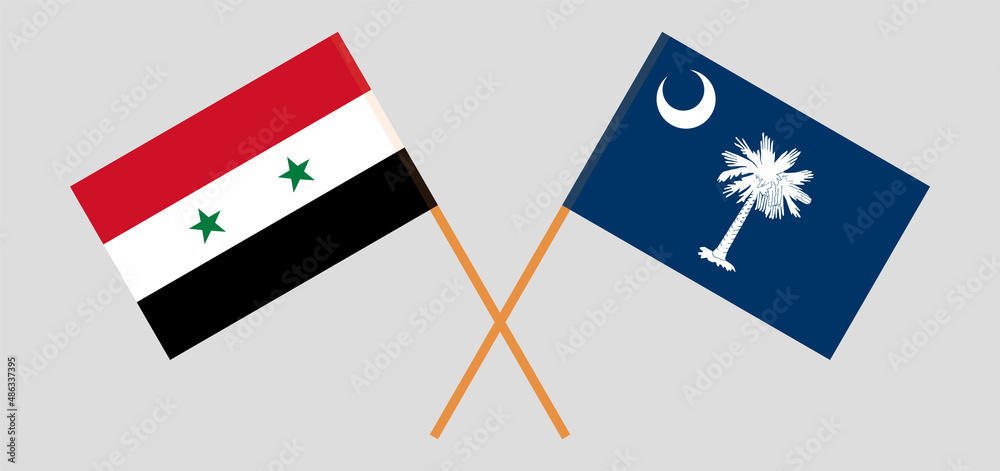 Crossed flags of Syria and The State of South Carolina. Official colors. Correct proportion Crossed flags of Syria and The State of South Carolina. Official colors. Correct proportion