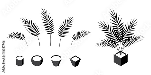 Areca palm isometric icons in flat style, vector