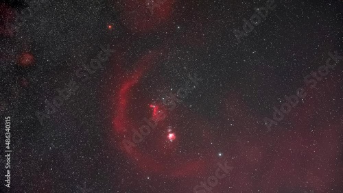 360 degree panorama in the autumn beech forest with a dominant tree 