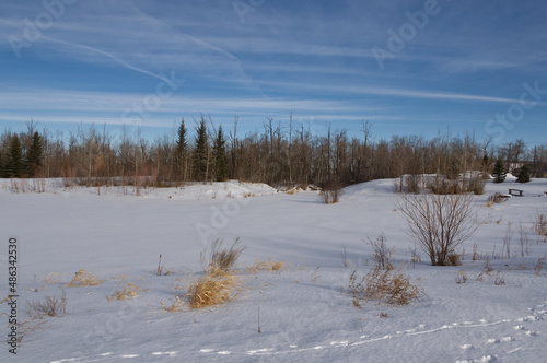 Pylypow Wetlands in the Winter