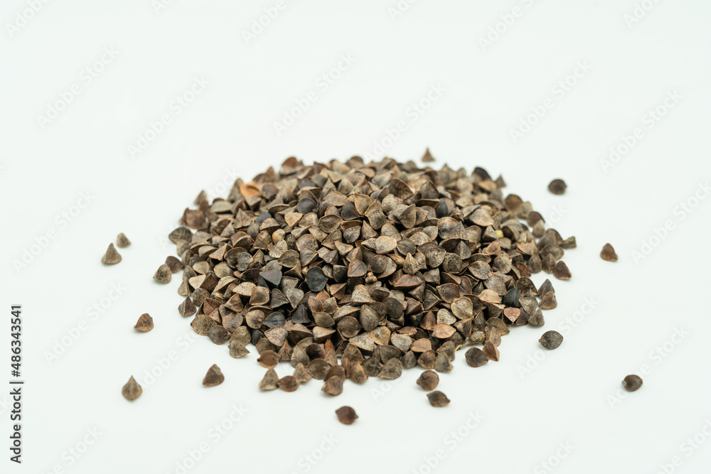 Sweet buckwheat seeds on a monochrome background Sweet buckwheat seeds on a monochrome background