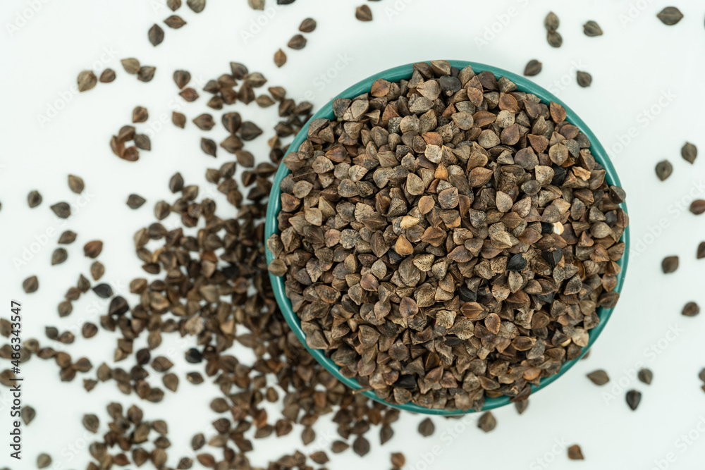 Sweet buckwheat seeds on a monochrome background Sweet buckwheat seeds on a monochrome background
