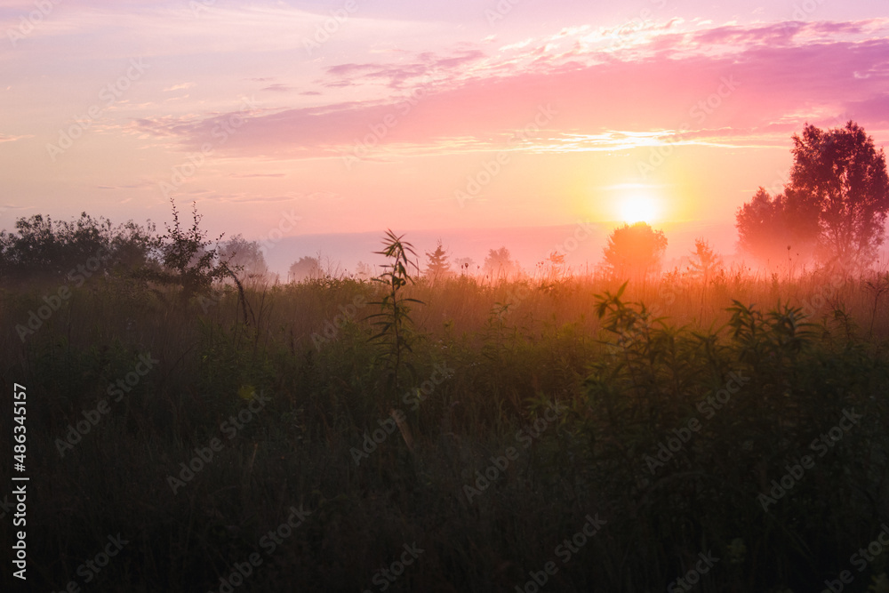 Sunrise in an agricultural colorful field with green stuff covered with fog on an early summer morning. Autumn rural landscape over scenic valley  with blurry foreground.