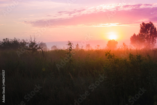 Sunrise in an agricultural colorful field with green stuff covered with fog on an early summer morning. Autumn rural landscape over scenic valley with blurry foreground.