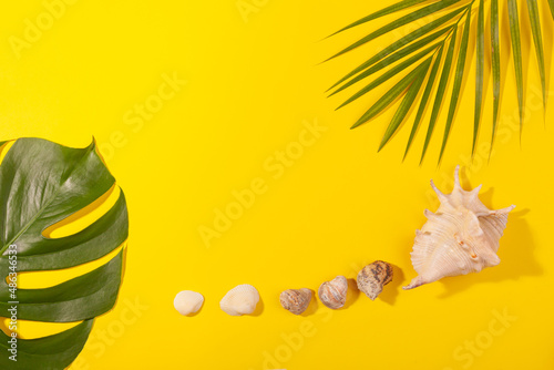 Top view on monstera and palm leaves with sea shells on yellow background. Concept of beach holiday, sea tour, warm sunny summer. Advertising space