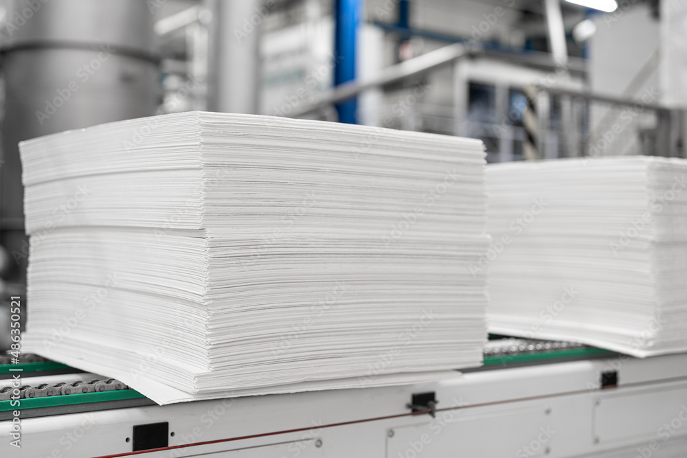 Paper production - paper pile - semi-finished product - production line - industry