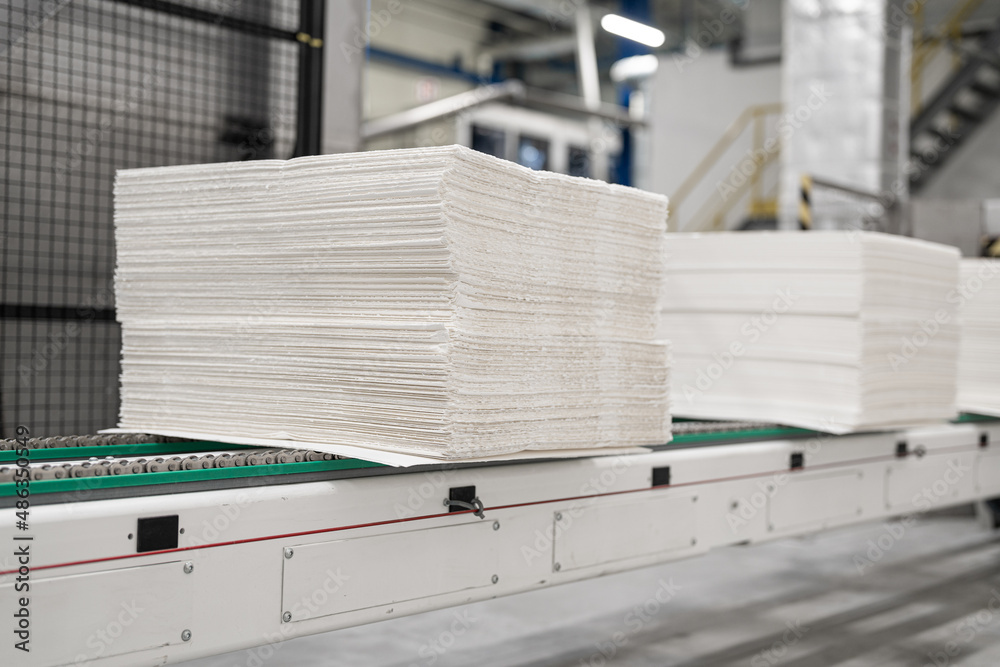 Paper factory - cellulose - manufacturing industry - wet wipes