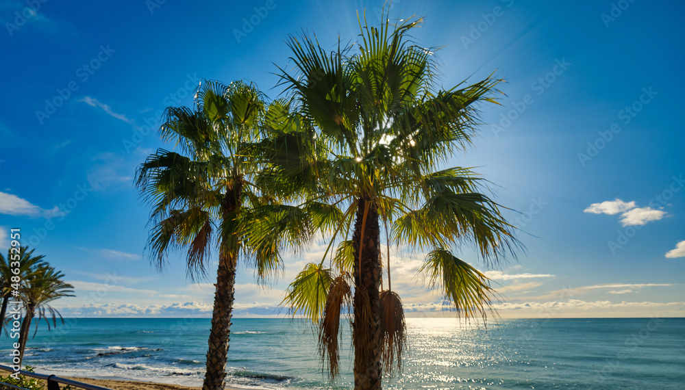 Lush palm trees and Mediterranean Sea. Benalmadena. Malaga, Spain
