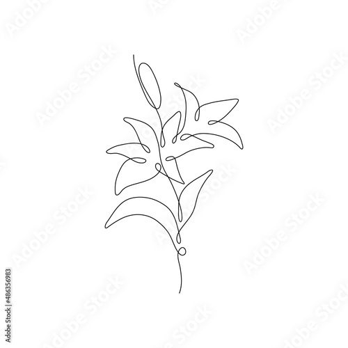 One line lily flower. Creative artwork flower silhouette. Hand drawn minimalism style vector illustration.