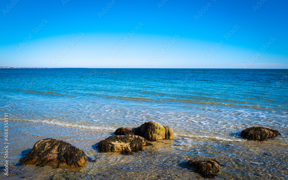 Beachscape with rocks and swimming geese on the gentle seawater