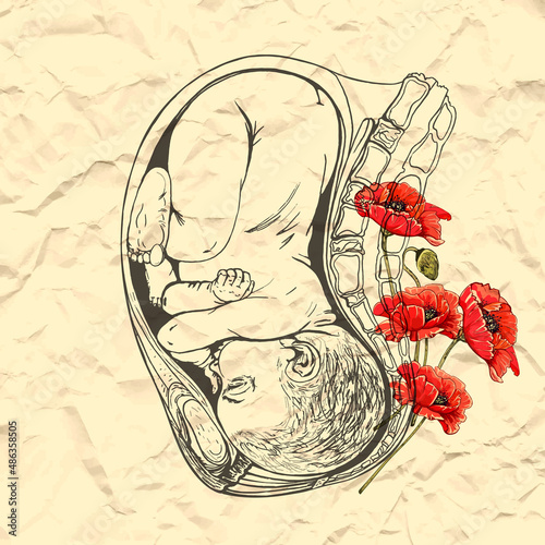 pregnancy, sketch with red poppies_pregnancy, baby in the womb, sketch with red poppies, crumpled paper texture, old, vintage,
