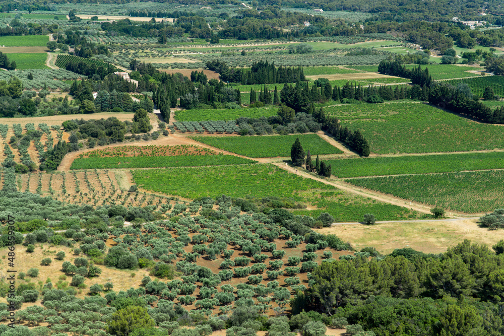 Les Baux-de-Provence, Provence-Alpes-Côte d'Azur - France - July 10 2021: Views of olives trees and cypress from Les Baux-de-Provence.