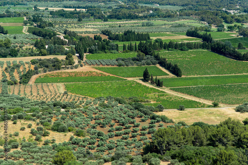 Les Baux-de-Provence, Provence-Alpes-Côte d'Azur - France - July 10 2021: Views of olives trees and cypress from Les Baux-de-Provence.