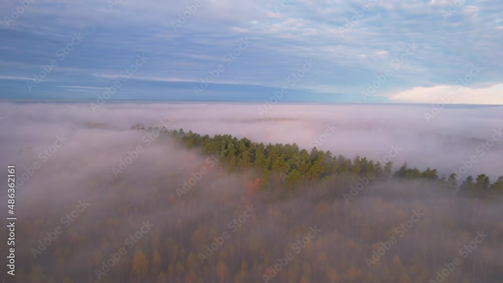 Aerial landscape of foggy morning over the forest. Slow drone flight over the treetops. Blue sky and white fluffy clouds. Aerial landscape of foggy morning over the forest. Slow drone flight over the treetops. Blue sky and white fluffy clouds.
