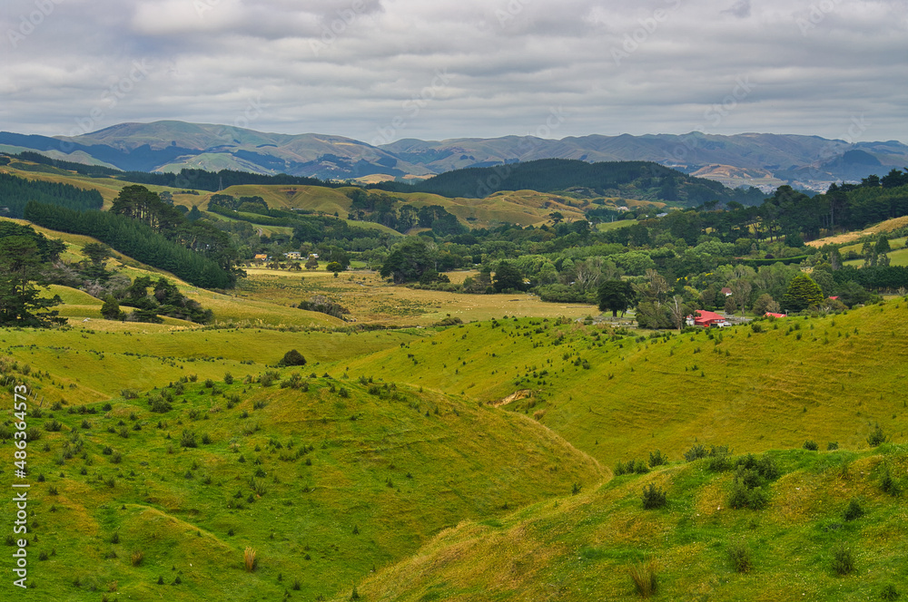 The green hills with meadows and trees of Battle Hill Farm, Pauatahanui, Porirua, Greater Wellington, North Island, New Zealand. A typical New Zealand landscape.
