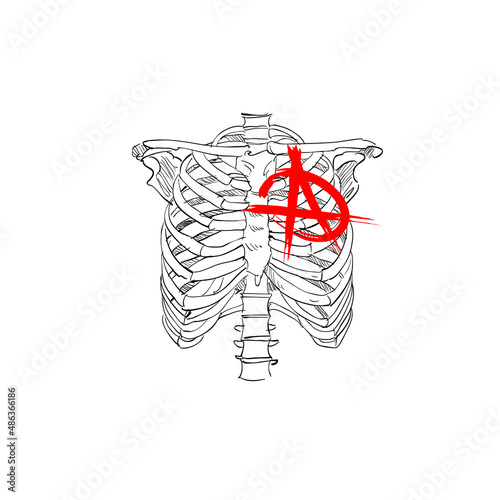 Chest skeleton with anarchy symbol. Punks not dead. Fashion t-sirt design. Hand drawn vector illustration. 