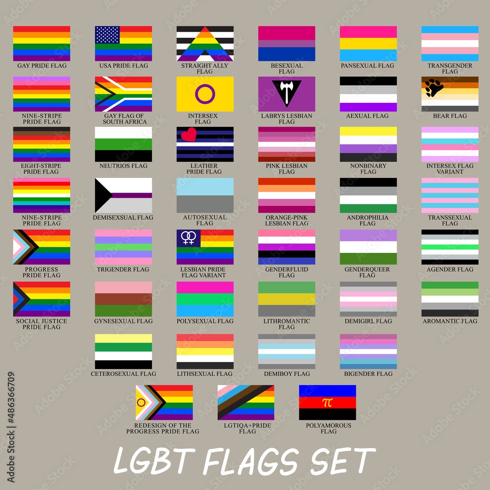 Vector Symbols Of The Lgbt Community Set Of Lgbt Flags The Rainbow Pride Flag And Other Is A