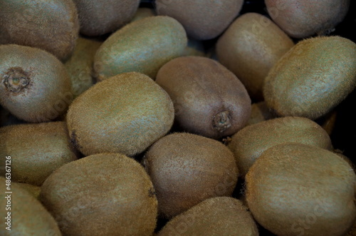 Background from a pile of fresh  ripe kiwi fruits  Sofia  Bulgaria   