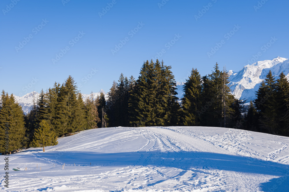 A path in the Mont Blanc massif in Europe, France, Rhone Alpes, Savoie, Alps, in winter on a sunny day.