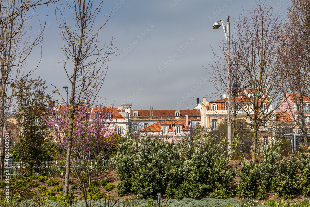 European winter vegetation with traditional residential architecture in the background.